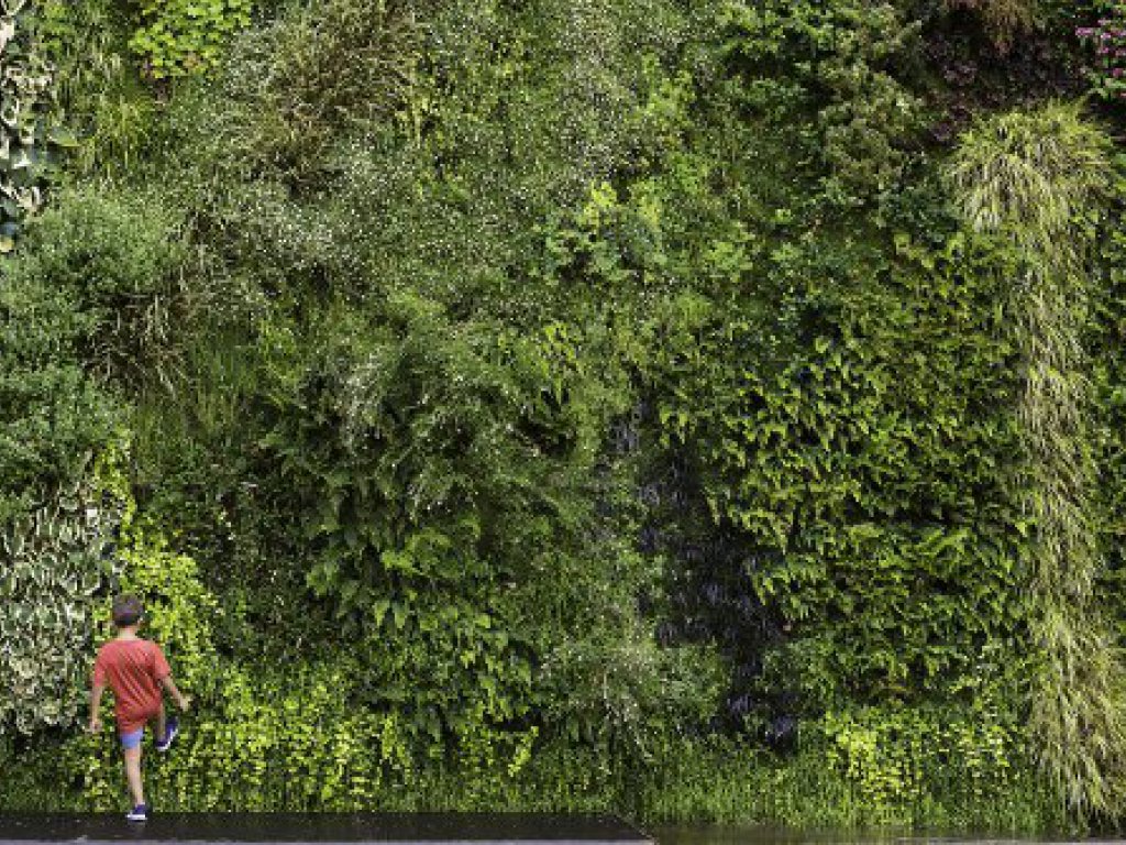 Jardín vertical CaixaForum