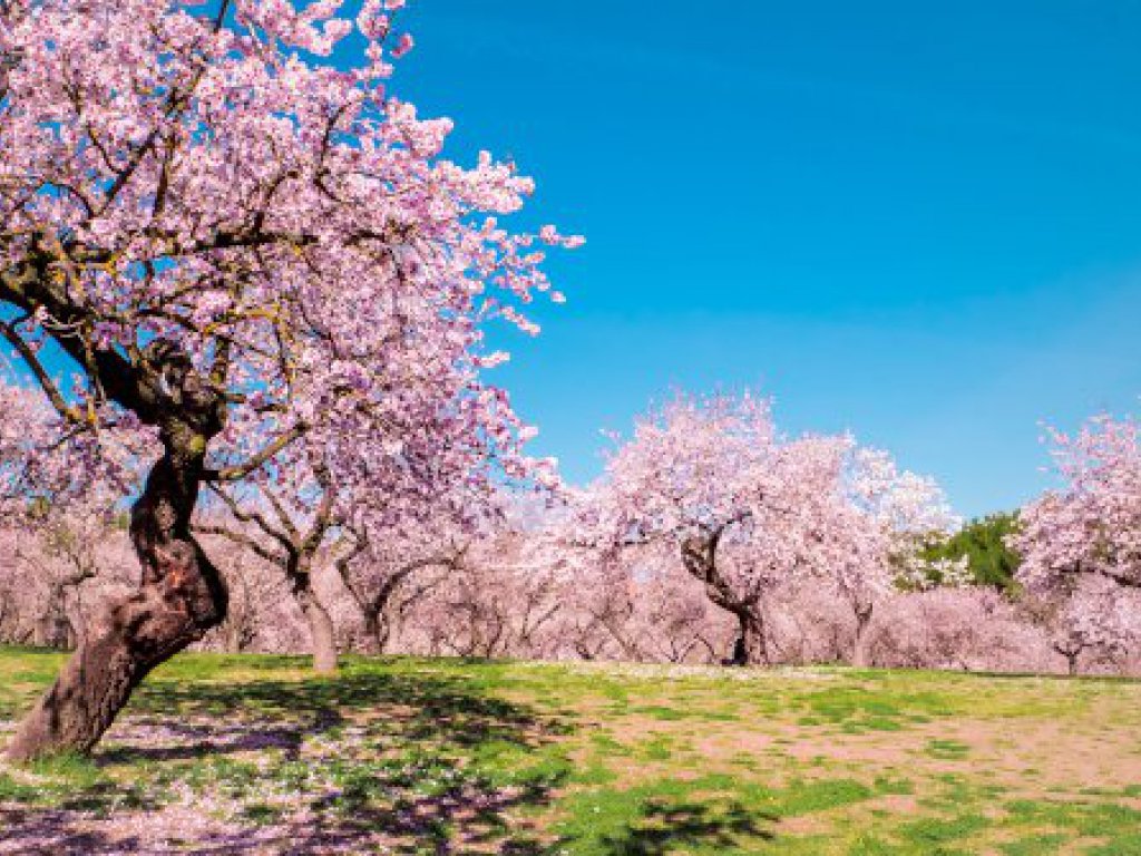 Quinta de los Molinos