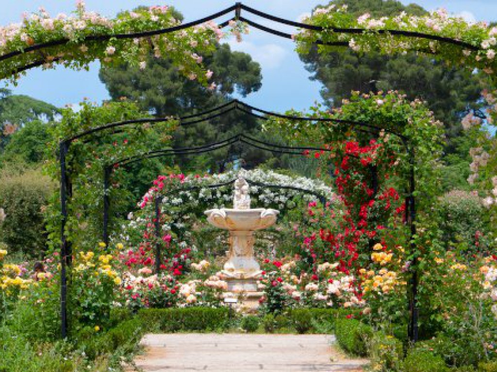 Rosaleda de El Retiro.